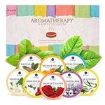 Shower Steamers Aromatherapy Gifts 