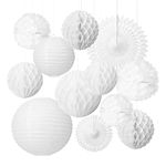 LIHAO 12PCS Party Decoration Hanging Tissue Pom Poms Flowers Paper Fans Paper Lanterns Honeycomb Balls Fans Decoration Set for Wedding Birthday Party Baby Shower Party - White ( 20cm / 25cm / 30cm / 40cm )