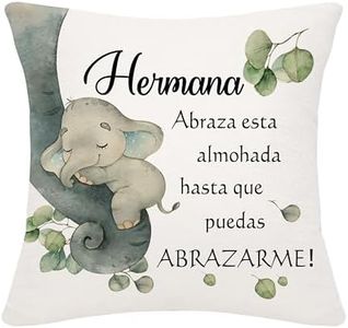 Bommex Regalo de Hermana de Hermana o Hermano Precioso Cojín de Dibujos Animados para Hermana Grande Hermana Pequeña Hermana del Alma Regalo de Cumpleaños Graduación Navidad (Hermana)