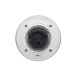 Axis Communications 0473-001 1 MP Outdoor Day and Night IP Dome Camera with 12mm Lens