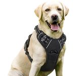 dog harness