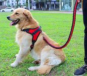 SUPER STRONG Heavy Duty Dog Leash Harness Collar Vest Set, Handcrafted & Anti-twist Safety Metal Clip, Adjustable Dog Basic Halter Martingale Braided Collar Pets Training Leads (S, Red Black)