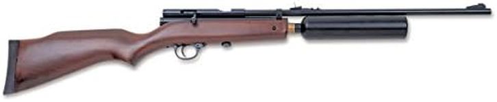 Beeman, QB CO2 Air Rifle.22 Caliber, 21 1/2" Barrel, Single Shot (QB79-22)