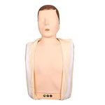 Medivizion CPR Training Mannequin Half Body for CPR First Aid Training Manikin with feedback indicators for Patient Education and Teaching