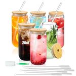 DAMCONME Glasses Drinking Set of 6,20 Oz Glass Cups with Lids and Straws,Glass Tumbler for Smoothie,Cocktail,Iced Coffee,Whiskey,Beer—Drinking Glasses 20 Oz,7 Brush