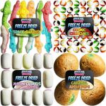 Premium Freeze Dried Candy Variety Pack with 4 Kinds of Candy - Space Sharks, Cosmic Crunchies, Moon Clouds Caramel Apple Comets and Stickers - Freeze Dried Candy Sampler Shipped in Box for Protection