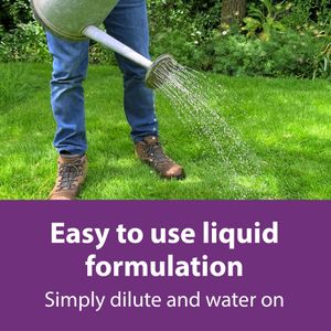 Flower Power Lawn Magic Premium Lawn Feed 5L – Double Action Formula