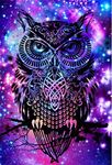 Abillyn Embroidery Cross Stitch Kits Owl Silhouette, Psychedelic Starry Stars Sky Stamped with Printed Pattern Starter Kit (Owl)