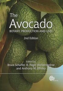 The Avocad