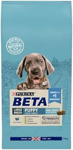 BETA Puppy