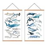 Natural Wood Magnetic Hanger Frame Poster- Shark & Whale Canvas Wall Art Print Sea Life Wall Decor Ocean Fish Painting 28X45cm Frames Hanging Kit