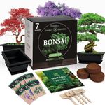 Bonsai Tree Seed Kit