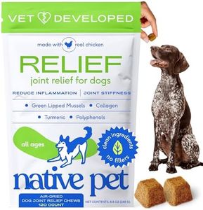 Native Pet Relief Chews - Anti Inflammatory for Dogs - Turmeric + Polyphenols + Green Lipped Mussels for Dogs - Natural Relief for Dogs - Dog Arthritis Supplement & Dog Joint Pain Relief - 120 Chews