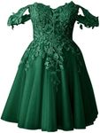 Zeeyecie Emerald Green Off Shoulder Tulle Homecoming Dress Lace Sparkly Short Prom Dress 2024 Cocktail Party Graduation Dress US0