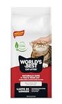 World's Best Cat Litter, Clumping L