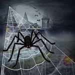 Timiyou Halloween Decorations, 59'' Giant Spider + 200'' Spider Web Decor + 20pcs Small Fake Spiders, Halloween Decorations Outdoor Spider for Indoor Scary Haunted House Garden Lawn Yard