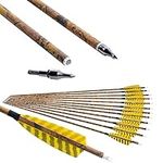 ZSHJGJR 30” Archery Carbon Arrows H