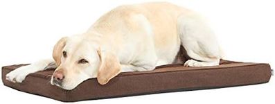 Barkbox Memory Foam Platform Dog Be