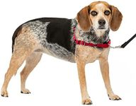 PetSafe Easy Walk No-Pull Dog Harness - The Ultimate Harness to Help Stop Pulling - Take Control & Teach Better Leash Manners - Helps Prevent Pets Pulling on Walks, Small/Medium, Red/Black