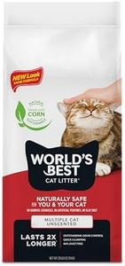 World's Be