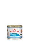 Royal Canin Dog Food Starter Mousse 12 x 195 g