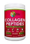 Skinny Jane - Best Collagen Peptides Powder | Anti Aging | Rejuvenates Skin | Healthy Hair and Nails | Relieves Joint Pain | Diet | 0 Carbs (35 Serv)