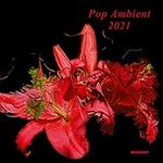 Pop Ambient 2021