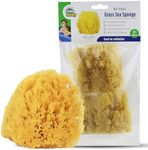 Baby Buddy Natural Grass Sea Sponge, Newborn Bath Time Essential, Textured for Exfoliation, Hypoallergenic, 2 Count