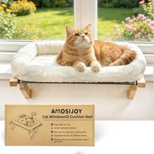 AMOSIJOY C