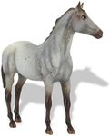 Breyer Classics Wild Blue: Book and