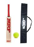 Cricket Bat For Kids Age 10