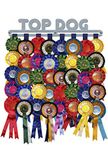 Rosette Hanger | 'Top Dog' Award Ribbon Hanger Holder Wall Display | Brushed Stainless Steel Metal