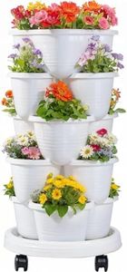 5-Tier Sta