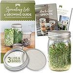 Seed Sprouting Kit - 3 Stainless St