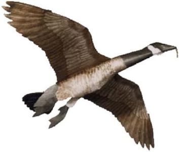 Jackite Inc. Canada Goose Flying Goose Decoy
