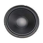 Mcm Audio Select 12" Woofer with Po