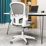 FelixKing Office Desk Chairs, Ergon