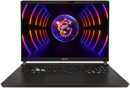 MSI Vector