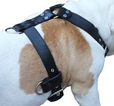 Genuine Leather Dog Harness X-Large 33"-40" Chest, 1.3" Wide Adjustable Straps (Black)