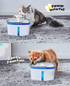example product