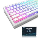 Pudding Keycaps, PBT Keycaps 165 Keys Set Custom Keycap Set, Shine Through Keycaps OEM Profile, Universal Compatiability for 100%, 75%, 65%, 60% Keyboard - White