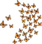 Chuangdi Monarch Butterfly Decoration 3 Size Fake Butterflies Realistic Butterfly Crafts Artificial Butterfly Wall Decor for Classroom Home Bedroom Birthday Party Decorations(Orange, 100 Pack)