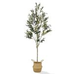 VERDANT HAVEN - Faux Olive Tree 7 Feet - Free Wicker Olive Tree Planter Pot Included - Olive Trees Artificial Indoor for Your Home Decor Living Room - Tall Fake Tree, Ideal as Tall Plant Decor