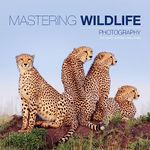 Mastering Wildlife Photography