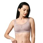 SOIE Women Full Coverage Polyamide Spandex Padded Non Wired Lace Detail Cami Bra, Bark, 34B