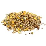 Mixed Pigeon Corn 5kg Premium Quality Bird Food