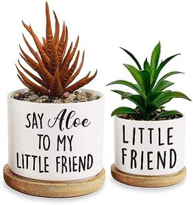 Msyueos Say Aloe to My Little Friend Planter Pot, Funny Plant Pots, Aloe Plant Pot, Succulent Pots with Tray Set of 2, Flower Pots No Plant, Indoor Pot Without Plants Office Home Windowsill Gifts