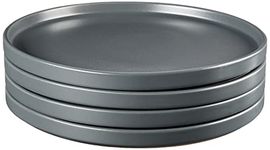 Stone Lain Stoneware Round Dinner Plates Set, 4-Piece, Grey Matte