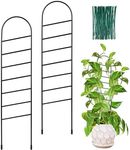 18 Inch Small Metal Trellis,Indoor 