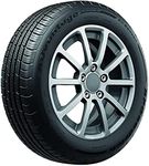 BFGoodrich Advantage Control All-Season Tire, Cars, CUVs 205/55R16 91H
